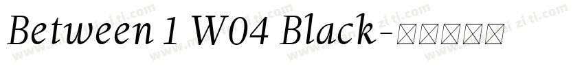 Between 1 W04 Black字体转换